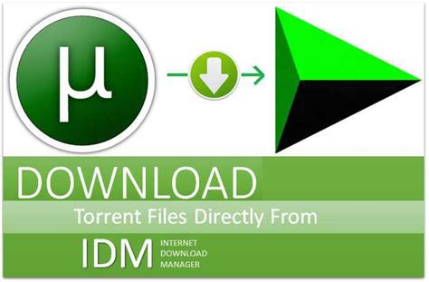 Torrent Info for [자막][dv.